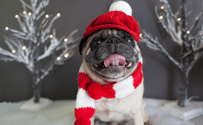 拖延癥小企業(yè)主進行限時營銷的幾個技巧 拖延癥小企業(yè)主進行限時營銷的幾個技巧