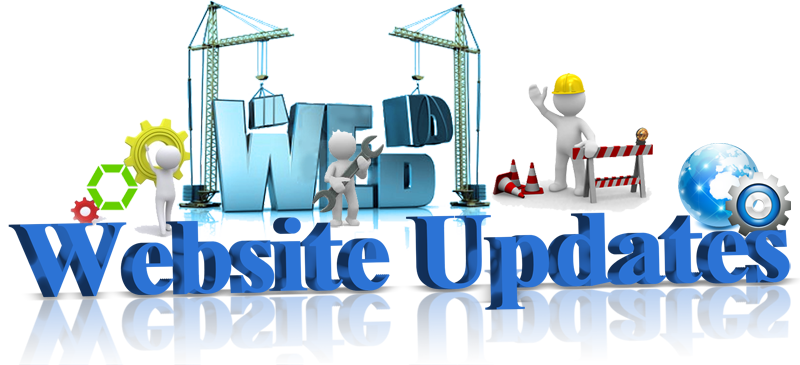 我們應(yīng)該如何經(jīng)營網(wǎng)站seo