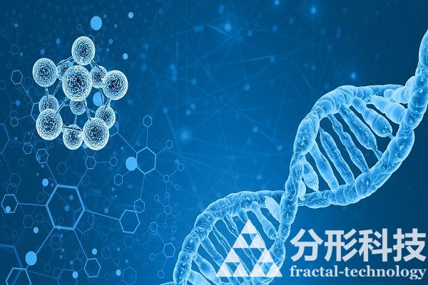 醫(yī)院網(wǎng)站建設(shè)：打造有溫度的醫(yī)患情感連接器